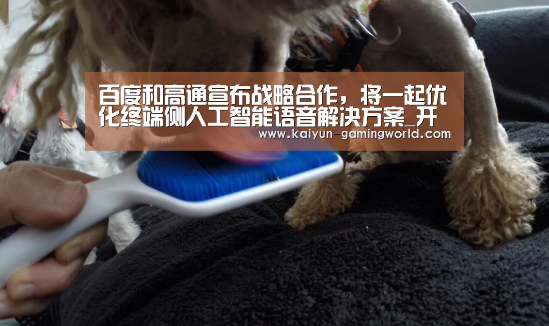 百度和高通宣布战略合作,将一起优化终端侧人工智能语音解决方案_开云平台(图3) 开云官网