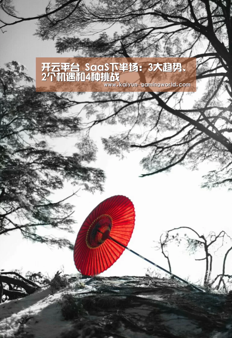 开云入口